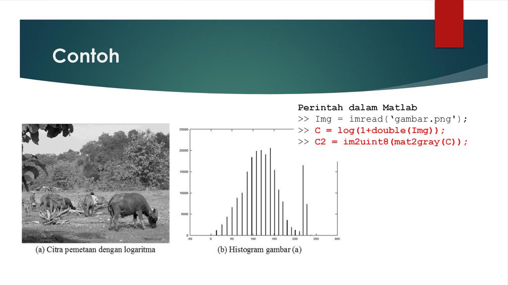 Operasi Pixel Dan Histogram Ppt Download